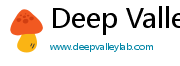 Deep Valley Lab